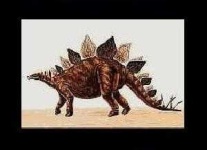 image of stegosaurus #37