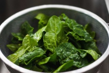 image of spinach #26