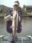 image of barracouta
