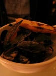 image of mussels #8