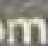 image of char