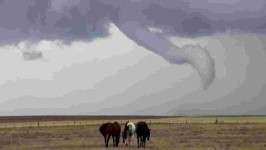 image of tornado #16