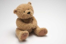 image of teddy_bear