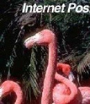image of animal