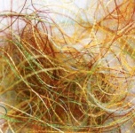 image of texture