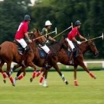 image of sport