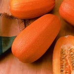 image of spaghetti_squash