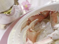image of dungeness_crab