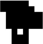 image of palm_tree