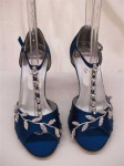 image of blue_shoes #30