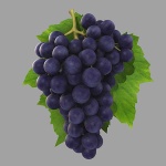 image of grapes #4