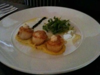 image of scallops #2