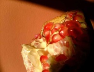 image of pomegranate