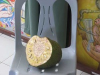 image of jackfruit