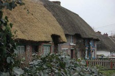 image of thatch