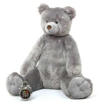 image of teddy_bear