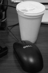 image of mouse