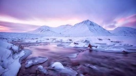 image of tundra
