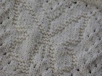 image of dishrag