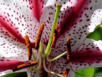 image of texture