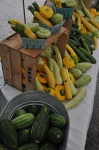 image of cucumber