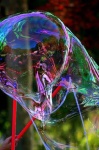 image of bubble