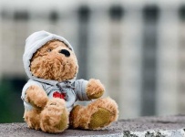 image of teddy