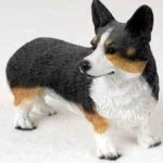 image of corgi #8