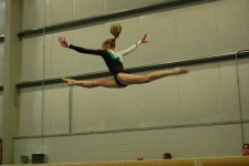 image of balance_beam