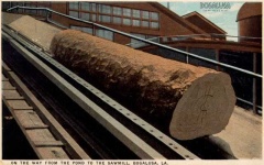 image of lumbermill