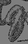 image of char