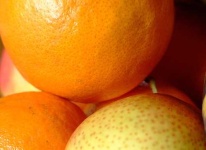 image of orange