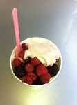 image of frozen_yogurt #15