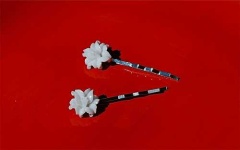 image of hair_slide