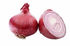 image of onion #3