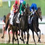 image of sport
