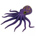image of octopus