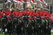 image of bearskin