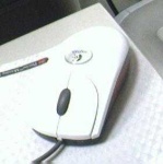 image of computer_mouse #25