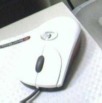image of computer_mouse