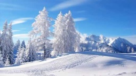 image of snowy