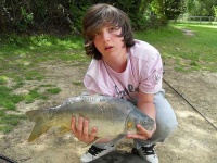 image of tench