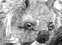 image of texture