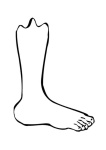 image of foot #18