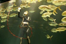 image of scuba_diver