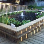 image of pond