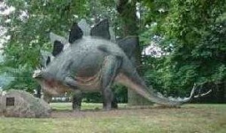 image of stegosaurus