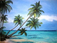 image of palm_tree #9