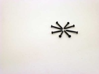 image of nail
