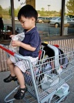 image of shopping_cart